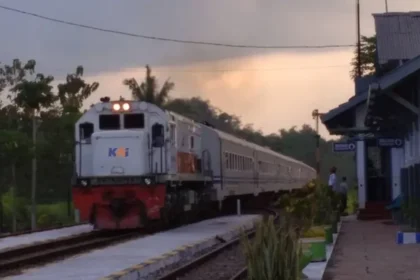 Hanya Rp 8.000, KA Pandanwangi Jadi Favorit Wisatawan Rute Jember–Banyuwangi