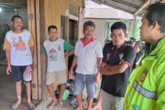 Tragedi di Kalbar: Ibu dan Balita Tewas Usai Santap Jamur Hutan