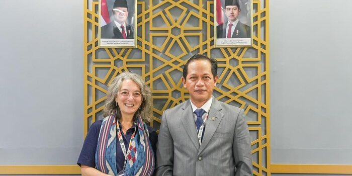 Pengakuan Internasional atas Skema Perdagangan Karbon Indonesia